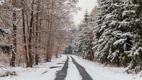 &Sigma;&epsilon; &epsilon;&pi;&iota;&chi;&epsilon;&iota;&rho;&eta;&sigma;&iota;&alpha;&kappa;ή &epsilon;&tau;&omicron;&iota;&mu;ό&tau;&eta;&tau;&alpha; &beta;&rho;ί&sigma;&kappa;&epsilon;&tau;&alpha;&iota; &eta; &Pi;.&Epsilon;. &Eta;&mu;&alpha;&theta;ί&alpha;&sigmaf; &gamma;&iota;&alpha; &tau;&eta;&nu; &alpha;&nu;&tau;&iota;&mu;&epsilon;&tau;ώ&pi;&iota;&sigma;&eta; &tau;&omega;&nu; &kappa;&alpha;&iota;&rho;&iota;&kappa;ώ&nu; &phi;&alpha;&iota;&nu;&omicron;&mu;έ&nu;&omega;&nu; &pi;&omicron;&upsilon; &theta;&alpha; &kappa;&alpha;&tau;&alpha;&gamma;&rho;&alpha;&phi;&omicron;ύ&nu;