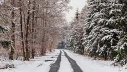 &Sigma;&epsilon; &epsilon;&pi;&iota;&chi;&epsilon;&iota;&rho;&eta;&sigma;&iota;&alpha;&kappa;ή &epsilon;&tau;&omicron;&iota;&mu;ό&tau;&eta;&tau;&alpha; &beta;&rho;ί&sigma;&kappa;&epsilon;&tau;&alpha;&iota; &eta; &Pi;.&Epsilon;. &Eta;&mu;&alpha;&theta;ί&alpha;&sigmaf; &gamma;&iota;&alpha; &tau;&eta;&nu; &alpha;&nu;&tau;&iota;&mu;&epsilon;&tau;ώ&pi;&iota;&sigma;&eta; &tau;&omega;&nu; &kappa;&alpha;&iota;&rho;&iota;&kappa;ώ&nu; &phi;&alpha;&iota;&nu;&omicron;&mu;έ&nu;&omega;&nu; &pi;&omicron;&upsilon; &theta;&alpha; &kappa;&alpha;&tau;&alpha;&gamma;&rho;&alpha;&phi;&omicron;ύ&nu;