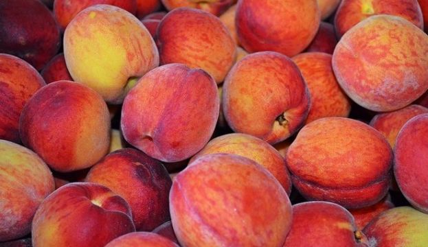 &Mu;&pi;&lambda;ό&kappa;&omicron; &tau;&eta;&sigmaf; &Rho;&omega;&sigma;ί&alpha;&sigmaf; &sigma;&epsilon; &sigma;&epsilon;&rho;&beta;&iota;&kappa;ά &phi;&rho;&omicron;ύ&tau;&alpha;