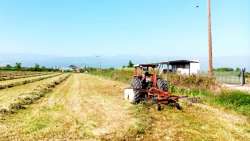 &Mu;έ&sigma;&omega; &tau;&omicron;&upsilon; Gov.gr &omicron;&iota; &alpha;&iota;&tau;ή&sigma;&epsilon;&iota;&sigmaf; &kappa;&alpha;&iota; &omicron;&iota; &epsilon;&gamma;&kappa;&rho;ί&sigma;&epsilon;&iota;&sigmaf; &epsilon;&mu;&pi;&omicron;&rho;ί&alpha;&sigmaf; &kappa;&alpha;&iota; &delta;&iota;&alpha;&kappa;ί&nu;&eta;&sigma;&eta;&sigmaf; &phi;&upsilon;&tau;&iota;&kappa;ώ&nu; &sigma;&pi;ό&rho;&omega;&nu;