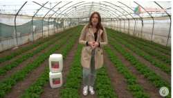 &Epsilon;ί&sigma;&alpha;&iota; &pi;&alpha;&rho;&alpha;&gamma;&omega;&gamma;ό&sigmaf;? &Theta;έ&lambda;&epsilon;&iota;&sigmaf; &nu;&alpha; &mu;ά&theta;&epsilon;&iota;&sigmaf; &pi;&omega;&sigmaf; &mu;&pi;&omicron;&rho;&epsilon;ί&sigmaf; &nu;&alpha; &delta;ώ&sigma;&epsilon;&iota;&sigmaf; έ&nu;&alpha; &mu;&omicron;&nu;&alpha;&delta;&iota;&kappa;ό &tau;&rho;ό&pi;&omicron; &theta;&rho;έ&psi;&eta;&sigmaf; &sigma;&tau;&eta;&nu; &kappa;&alpha;&lambda;&lambda;&iota;έ&rho;&gamma;&epsilon;&iota;ά &sigma;&omicron;&upsilon;? (&Beta;ί&nu;&tau;&epsilon;&omicron;)