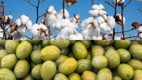 &Alpha;&pi;ό&sigma;&upsilon;&rho;&sigma;&eta; &kappa;&alpha;&iota; &epsilon;&pi;&alpha;&nu;&epsilon;&xi;έ&tau;&alpha;&sigma;&eta; ά&rho;&theta;&rho;&omega;&nu; &tau;&omicron;&upsilon; &pi;&rho;&omicron;&sigmaf; &delta;&iota;&alpha;&beta;&omicron;ύ&lambda;&epsilon;&upsilon;&sigma;&eta; &nu;&omicron;&mu;&omicron;&sigma;&chi;&epsilon;&delta;ί&omicron;&upsilon; &tau;&omicron;&upsilon; &Upsilon;&pi;&Alpha;&Alpha;&Tau; &pi;&omicron;&upsilon; &alpha;&phi;&omicron;&rho;ά &sigma;&tau;&iota;&sigmaf; &ldquo;&Rho;&upsilon;&theta;&mu;ί&sigma;&epsilon;&iota;&sigmaf; &gamma;&iota;&alpha; &tau;&iota;&sigmaf; &Delta;&iota;&epsilon;&pi;&alpha;&gamma;&gamma;&epsilon;&lambda;&mu;&alpha;&tau;&iota;&kappa;έ&sigmaf; &Omicron;&rho;&gamma;&alpha;&nu;ώ&sigma;&epsilon;&iota;&sigmaf;&rdquo;