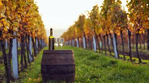 &Eta; &sigma;&upsilon;&mu;&phi;&omega;&nu;ί&alpha; Mercosur &delta;&epsilon;&nu; &iota;&kappa;&alpha;&nu;&omicron;&pi;&omicron;&iota;&epsilon;ί &pi;&lambda;ή&rho;&omega;&sigmaf; &tau;&omicron; &omicron;&iota;&nu;&iota;&kappa;ό &tau;&mu;ή&mu;&alpha; &tau;&eta;&sigmaf; Copa Cogeca