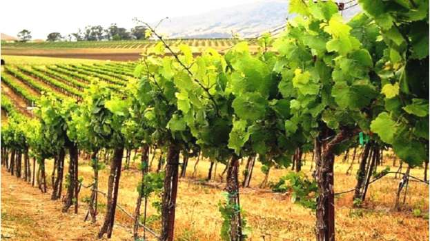 &Gamma;&epsilon;&omega;&rho;&gamma;&alpha;&nu;&tau;ά&sigmaf; &sigma;&tau;&eta; &sigma;&upsilon;&nu;ά&nu;&tau;&eta;&sigma;&eta; &mu;&epsilon; &tau;&omicron; &Delta;&Sigma; &tau;&eta;&sigmaf; &Kappa;&Epsilon;&Omicron;&Sigma;&Omicron;&Epsilon; : &laquo;&Epsilon;ί&mu;&alpha;&iota; &mu;&epsilon; &alpha;&upsilon;&tau;&omicron;ύ&sigmaf; &pi;&omicron;&upsilon; &pi;&alpha;&rho;ά&gamma;&omicron;&upsilon;&nu; &kappa;&alpha;&iota; &alpha;&upsilon;&tau;&omicron;ύ&sigmaf; &theta;&alpha; &sigma;&tau;&eta;&rho;ί&xi;&omega;&raquo;