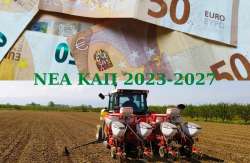 &Kappa;&alpha;&tau;ά 25% "&psi;&alpha;&lambda;ί&delta;&iota;" &sigma;&tau;&iota;&sigmaf; &epsilon;&nu;&iota;&sigma;&chi;ύ&sigma;&epsilon;&iota;&sigmaf; &alpha;&nu; &sigma;&tau;&eta; &delta;ή&lambda;&omega;&sigma;&eta; &Omicron;&Sigma;&Delta;&Epsilon; 2023 &delta;&epsilon;&nu; &pi;&epsilon;&rho;&iota;&lambda;&alpha;&mu;&beta;ά&nu;&epsilon;&tau;&alpha;&iota; &delta;&rho;ά&sigma;&eta; &omicron;&iota;&kappa;&omicron;&lambda;&omicron;&gamma;&iota;&kappa;&omicron;ύ &sigma;&chi;ή&mu;&alpha;&tau;&omicron;&sigmaf; - &Pi;&omicron;&iota;&omicron;&iota; &theta;&alpha; &mu;έ&nu;&omicron;&upsilon;&nu; &epsilon;&kappa;&tau;ό&sigmaf; &sigma;&chi;&epsilon;&delta;ί&omega;&nu; &beta;&epsilon;&lambda;&tau;ί&omega;&sigma;&eta;&sigmaf;