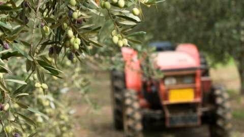 &Nu;&epsilon;&kappa;&rho;ό&sigmaf; 48&chi;&rho;&omicron;&nu;&omicron;&sigmaf; &tau;&eta;&nu; ώ&rho;&alpha; &pi;&omicron;&upsilon; &rho;ά&beta;&delta;&iota;&zeta;&epsilon; &epsilon;&lambda;&iota;έ&sigmaf; &sigma;&tau;&omicron; &chi;&omega;&rho;ά&phi;&iota; - Έ&pi;&alpha;&theta;&epsilon; &eta;&lambda;&epsilon;&kappa;&tau;&rho;&omicron;&pi;&lambda;&eta;&xi;ί&alpha; | &Alpha;&gamma;&rho;&omicron;&tau;&iota;&kappa;ά &nu;έ&alpha; IMATHIOTIKIGI.GR