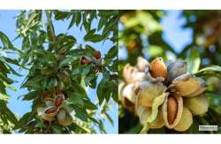 &Eta; &pi;&rho;ώ&tau;&eta; &epsilon;&pi;&iota;&lambda;&omicron;&gamma;ή &gamma;&iota;&alpha; &sigma;&upsilon;&nu;&epsilon;&tau;&alpha;&iota;&rho;&iota;&sigma;&mu;&omicron;ύ&sigmaf; &kappa;&alpha;&iota; &omicron;&mu;ά&delta;&epsilon;&sigmaf; &pi;&alpha;&rho;&alpha;&gamma;&omega;&gamma;ώ&nu;! (&Beta;ί&nu;&tau;&epsilon;&omicron;)