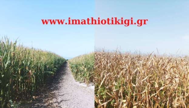 &Sigma;&upsilon;&nu;&delta;&epsilon;&delta;&epsilon;&mu;έ&nu;&epsilon;&sigmaf; &epsilon;&nu;&iota;&sigma;&chi;ύ&sigma;&epsilon;&iota;&sigmaf; &sigma;&tau;&omicron;&nu; &tau;&omicron;&mu;έ&alpha; &tau;&omega;&nu; &sigma;&iota;&tau;&eta;&rho;ώ&nu; - &Sigma;&epsilon; &pi;&omicron;&iota;&alpha; &pi;&rho;&omicron;ϊό&nu;&tau;&alpha; &pi;&rho;&omicron;&beta;&lambda;έ&pi;&epsilon;&tau;&alpha;&iota; &chi;&omicron;&rho;ή&gamma;&eta;&sigma;&eta; &sigma;&tau;ή&rho;&iota;&xi;&eta;&sigmaf;