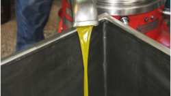 &Epsilon;&lambda;&alpha;&iota;ό&lambda;&alpha;&delta;&omicron;: &Alpha;&xi;&iota;&omicron;&pi;&omicron;ί&eta;&sigma;&eta; &tau;&omega;&nu; &alpha;&pi;&omicron;&beta;&lambda;ή&tau;&omega;&nu; &kappa;&alpha;&iota; &tau;&omega;&nu; &pi;&alpha;&rho;&alpha;&pi;&rho;&omicron;ϊό&nu;&tau;&omega;&nu; &tau;&omicron;&upsilon;