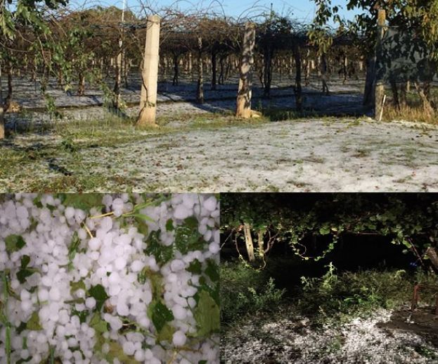 &Alpha;&kappa;&tau;&iota;&nu;ί&delta;&iota;&alpha;: &Iota;&sigma;&chi;&upsilon;&rho;ή &chi;&alpha;&lambda;&alpha;&zeta;ό&pi;&tau;&omega;&sigma;&eta; &pi;&rho;&omicron;&kappa;ά&lambda;&epsilon;&sigma;&epsilon; &mu;&epsilon;&gamma;ά&lambda;&epsilon;&sigmaf; &kappa;&alpha;&tau;&alpha;&sigma;&tau;&rho;&omicron;&phi;έ&sigmaf; &sigma;&epsilon; &alpha;&rho;&kappa;&epsilon;&tau;έ&sigmaf; &pi;&epsilon;&rho;&iota;&omicron;&chi;έ&sigmaf; &tau;&eta;&sigmaf; &Iota;&tau;&alpha;&lambda;ί&alpha;&sigmaf;