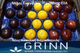 &Nu;έ&epsilon;&sigmaf; &pi;&omicron;&iota;&kappa;&iota;&lambda;ί&epsilon;&sigmaf; &Delta;&alpha;&mu;&alpha;&sigma;&kappa;&eta;&nu;&iota;ά&sigmaf; GRINN (&Phi;&omega;&tau;&omicron;&gamma;&rho;&alpha;&phi;ί&epsilon;&sigmaf; &amp; &Beta;ί&nu;&tau;&epsilon;&omicron;)