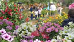 &Alpha;&pi;ό 17 &mu;έ&chi;&rho;&iota; 26 &Mu;&alpha;ΐ&omicron;&upsilon; &eta; 11&eta; &Alpha;&nu;&theta;&omicron;&kappa;&omicron;&mu;&iota;&kappa;ή &sigma;&tau;&eta;&nu; &Kappa;&alpha;&lambda;&alpha;&mu;ά&tau;&alpha;