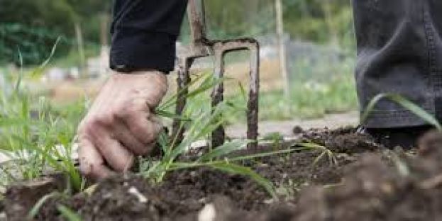 &Alpha;&pi;&omicron;&tau;&epsilon;&lambda;έ&sigma;&mu;&alpha;&tau;&alpha; &tau;&eta;&sigmaf; &Delta;&rho;ά&sigma;&eta;&sigmaf; 10.1.07 &laquo;&Epsilon;&nu;&alpha;&lambda;&lambda;&alpha;&kappa;&tau;&iota;&kappa;ή &kappa;&alpha;&tau;&alpha;&pi;&omicron;&lambda;έ&mu;&eta;&sigma;&eta; &zeta;&iota;&zeta;&alpha;&nu;ί&omega;&nu; &sigma;&tau;&omicron;&upsilon;&sigmaf; &omicron;&rho;&upsilon;&zeta;ώ&nu;&epsilon;&sigmaf;&raquo; &tau;&omicron;&upsilon; &Mu;έ&tau;&rho;&omicron;&upsilon; 10 &tau;&omicron;&upsilon; &Pi;&Alpha;&Alpha; 2014-2020