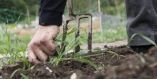 &Alpha;&pi;&omicron;&tau;&epsilon;&lambda;έ&sigma;&mu;&alpha;&tau;&alpha; &tau;&eta;&sigmaf; &Delta;&rho;ά&sigma;&eta;&sigmaf; 10.1.07 &laquo;&Epsilon;&nu;&alpha;&lambda;&lambda;&alpha;&kappa;&tau;&iota;&kappa;ή &kappa;&alpha;&tau;&alpha;&pi;&omicron;&lambda;έ&mu;&eta;&sigma;&eta; &zeta;&iota;&zeta;&alpha;&nu;ί&omega;&nu; &sigma;&tau;&omicron;&upsilon;&sigmaf; &omicron;&rho;&upsilon;&zeta;ώ&nu;&epsilon;&sigmaf;&raquo; &tau;&omicron;&upsilon; &Mu;έ&tau;&rho;&omicron;&upsilon; 10 &tau;&omicron;&upsilon; &Pi;&Alpha;&Alpha; 2014-2020