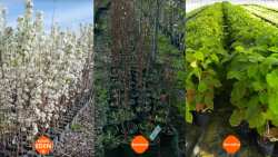 &Alpha;&chi;&lambda;ά&delta;&iota;&alpha; Eden &reg;, &Alpha;&kappa;&tau;&iota;&nu;ί&delta;&iota;&alpha; &kappa;&alpha;&iota; &Beta;&epsilon;&rho;ί&kappa;&omicron;&kappa;&alpha; &sigma;&epsilon; &gamma;&lambda;ά&sigma;&tau;&rho;&alpha; έ&tau;&omicron;&iota;&mu;&alpha; &gamma;&iota;&alpha; &phi;ύ&tau;&epsilon;&upsilon;&sigma;&eta;!