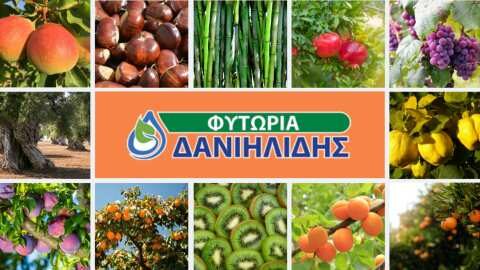 &Theta;έ&lambda;&omega; &nu;&alpha; &alpha;&lambda;&lambda;ά&xi;&omega; &delta;&epsilon;&nu;&delta;&rho;&omicron;&kappa;&omicron;&mu;&iota;&kappa;ή &kappa;&alpha;&lambda;&lambda;&iota;έ&rho;&gamma;&epsilon;&iota;&alpha;! &Tau;&iota; &nu;&alpha; &epsilon;&pi;&iota;&lambda;έ&xi;&omega;?