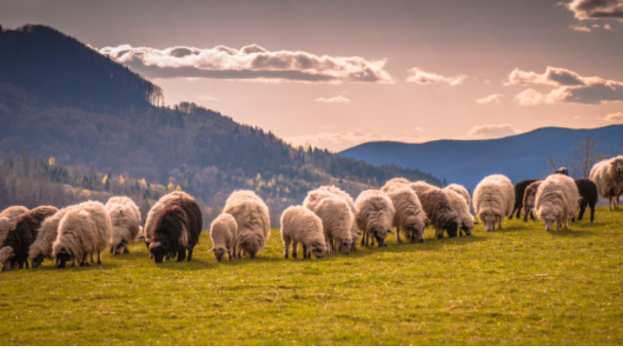 &Epsilon;&lambda;έ&gamma;&chi;&omicron;&nu;&tau;&alpha;&iota; &mu;&iota;&alpha; &pi;&rho;&omicron;&sigmaf; &mu;&iota;&alpha; &omicron;&iota; 1.000 &pi;&epsilon;&rho;&iota;&pi;&tau;ώ&sigma;&epsilon;&iota;&sigmaf; &tau;&eta;&sigmaf; &laquo;&epsilon;&gamma;&kappa;&lambda;&eta;&mu;&alpha;&tau;&iota;&kappa;ή&sigmaf; &omicron;&mu;ά&delta;&alpha;&sigmaf;&raquo; &pi;&alpha;&rho;ά&nu;&omicron;&mu;&omega;&nu; &epsilon;&nu;&iota;&sigma;&chi;ύ&sigma;&epsilon;&omega;&nu; - &Pi;&rho;&omicron;&phi;&upsilon;&lambda;&alpha;&kappa;ί&sigma;&theta;&eta;&kappa;&alpha;&nu; &tau;έ&sigma;&sigma;&epsilon;&rho;&iota;&sigmaf;
