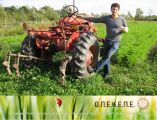 &Alpha;&nu;&alpha;&kappa;&omicron;ί&nu;&omega;&sigma;&eta; &sigma;&chi;&epsilon;&tau;&iota;&kappa;ά &mu;&epsilon; &tau;&eta;&nu; έ&nu;&alpha;&rho;&xi;&eta; &tau;&eta;&sigmaf; &delta;&iota;&alpha;&delta;&iota;&kappa;&alpha;&sigma;ί&alpha;&sigmaf; &Mu;&epsilon;&tau;&alpha;&beta;ί&beta;&alpha;&sigma;&eta;&sigmaf; &Delta;&iota;&kappa;&alpha;&iota;&omega;&mu;ά&tau;&omega;&nu; &Beta;&alpha;&sigma;&iota;&kappa;ή&sigmaf; &Epsilon;&nu;ί&sigma;&chi;&upsilon;&sigma;&eta;&sigmaf; 2019