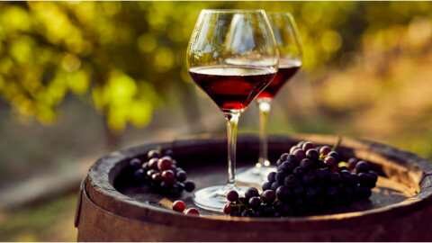 &Omicron; &Kappa;&alpha;&nu;&alpha;&delta;ά&sigmaf; &alpha;&pi;&alpha;&nu;&tau;ά &sigma;&tau;&omicron;&upsilon;&sigmaf; &delta;&alpha;&sigma;&mu;&omicron;ύ&sigmaf; &Tau;&rho;&alpha;&mu;&pi; &sigma;&tau;&omicron;&chi;&epsilon;ύ&omicron;&nu;&tau;&alpha;&sigmaf; &alpha;&mu;&epsilon;&rho;&iota;&kappa;&alpha;&nu;&iota;&kappa;ά &kappa;&rho;&alpha;&sigma;&iota;ά, &mu;&pi;ύ&rho;&epsilon;&sigmaf; &kappa;&alpha;&iota; &mu;&pi;έ&rho;&mu;&pi;&omicron;&nu;