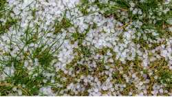 &Pi;&omicron;&rho;ί&sigma;&mu;&alpha;&tau;&alpha; &zeta;&eta;&mu;&iota;ώ&nu; &sigma;&epsilon; &kappa;&alpha;&lambda;&lambda;&iota;έ&rho;&gamma;&epsilon;&iota;&epsilon;&sigmaf; &alpha;&pi;ό &chi;&alpha;&lambda;ά&zeta;&iota; 26/04/2023 &sigma;&tau;&eta;&nu; &Delta;/&Tau;.&Kappa;. &Beta;έ&rho;&omicron;&iota;&alpha;&sigmaf;