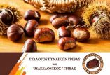 22&eta; &gamma;&iota;&omicron;&rho;&tau;ή &Kappa;ά&sigma;&tau;&alpha;&nu;&omicron;&upsilon; &sigma;&tau;&eta;&nu; &Gamma;&rho;ί&beta;&alpha; &Kappa;&iota;&lambda;&kappa;ί&sigmaf;