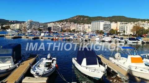 &Pi;&rho;&omega;&tau;&omicron;&pi;ό&rho;&alpha; &sigma;&tau;&eta;&nu; &Epsilon;&upsilon;&rho;ώ&pi;&eta; &eta; &Epsilon;&lambda;&lambda;ά&delta;&alpha; &sigma;&tau;&alpha; &zeta;&eta;&tau;ή&mu;&alpha;&tau;&alpha; &Sigma;&upsilon;&lambda;&lambda;&omicron;&gamma;ή&sigmaf; &Alpha;&lambda;&iota;&epsilon;&upsilon;&tau;&iota;&kappa;ώ&nu; &Delta;&epsilon;&delta;&omicron;&mu;έ&nu;&omega;&nu;