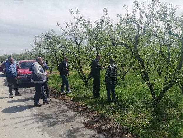 &Alpha;&pi;. &Beta;&epsilon;&sigma;&upsilon;&rho;ό&pi;&omicron;&upsilon;&lambda;&omicron;&sigmaf; &gamma;&iota;&alpha; &chi;&alpha;&lambda;&alpha;&zeta;ό&pi;&tau;&omega;&sigma;&eta;: "&Nu;&alpha; &upsilon;&pi;ά&rho;&xi;&epsilon;&iota; ά&mu;&epsilon;&sigma;&eta; &kappa;&iota;&nu;&eta;&tau;&omicron;&pi;&omicron;ί&eta;&sigma;&eta; &tau;&omicron;&upsilon; &Epsilon;&Lambda;&Gamma;&Alpha; &gamma;&iota;&alpha; &tau;&eta;&nu; &kappa;&alpha;&tau;&alpha;&gamma;&rho;&alpha;&phi;ή &tau;&omega;&nu; &zeta;&eta;&mu;&iota;ώ&nu; &alpha;&lambda;&lambda;ά &kappa;&alpha;&iota; &delta;ί&kappa;&alpha;&iota;&eta; &alpha;&pi;&omicron;&zeta;&eta;&mu;ί&omega;&sigma;&eta; &tau;&omega;&nu; &pi;&alpha;&rho;&alpha;&gamma;&omega;&gamma;ώ&nu;"