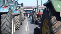 &Gamma;&iota;&alpha; &sigma;&upsilon;&mu;&mu;&epsilon;&tau;&omicron;&chi;ή &sigma;&epsilon; &sigma;&tau;&eta;&mu;έ&nu;&epsilon;&sigmaf; &sigma;&upsilon;&nu;&alpha;&nu;&tau;ή&sigma;&epsilon;&iota;&sigmaf; &mu;&epsilon; &tau;&omicron;&nu; &Upsilon;&pi;&Alpha;&Alpha;&Tau;, &kappa;&alpha;&tau;&alpha;&gamma;&gamma;έ&lambda;&epsilon;&iota; &Delta;&Omicron;&Beta; &kappa;&alpha;&iota; &alpha;&gamma;&rho;&omicron;&tau;&iota;&kappa;&omicron;ύ&sigmaf; &sigma;&upsilon;&lambda;&lambda;ό&gamma;&omicron;&upsilon;&sigmaf; &mu;&epsilon; &alpha;&pi;ό&phi;&alpha;&sigma;&eta; &tau;&eta;&sigmaf; &eta; &Pi;&alpha;&nu;&epsilon;&lambda;&lambda;&alpha;&delta;&iota;&kappa;ή &Sigma;ύ&sigma;&kappa;&epsilon;&psi;&eta; &Mu;&pi;&lambda;ό&kappa;&omega;&nu;