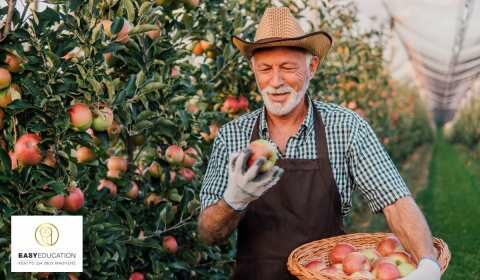 &Epsilon;ί&sigma;&alpha;&iota; &Alpha;&gamma;&rho;ό&tau;&eta;&sigmaf;; - &Pi;&iota;&sigma;&tau;&omicron;&pi;&omicron;&iota;&eta;&tau;&iota;&kappa;ό &omicron;&rho;&theta;&omicron;&lambda;&omicron;&gamma;&iota;&kappa;ή&sigmaf; &chi;&rho;ή&sigma;&eta;&sigmaf; &gamma;&epsilon;&omega;&rho;&gamma;&iota;&kappa;ώ&nu; &phi;&alpha;&rho;&mu;ά&kappa;&omega;&nu; &mu;&epsilon; &mu;ό&lambda;&iota;&sigmaf; 40&euro;