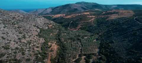 61,943 &epsilon;&kappa;&alpha;&tau;. &euro; &gamma;&iota;&alpha; &tau;&eta; &laquo;&Lambda;&iota;&mu;&nu;&omicron;&delta;&epsilon;&xi;&alpha;&mu;&epsilon;&nu;ή &Chi;&omicron;&chi;&lambda;&alpha;&kappa;ί&omega;&nu; &Lambda;&alpha;&sigma;&iota;&theta;ί&omicron;&upsilon; - &Phi;&rho;ά&gamma;&mu;&alpha; &Alpha;&gamma;. &Iota;&omega;ά&nu;&nu;&eta; &Iota;&epsilon;&rho;ά&pi;&epsilon;&tau;&rho;&alpha;&sigmaf; &Nu;&omicron;&mu;&omicron;ύ &Lambda;&alpha;&sigma;&iota;&theta;ί&omicron;&upsilon; &kappa;&alpha;&iota; &Beta;&alpha;&sigma;&iota;&kappa;ά Έ&rho;&gamma;&alpha; &Alpha;&xi;&iota;&omicron;&pi;&omicron;ί&eta;&sigma;&eta;&sigmaf; &Alpha;&rho;&delta;&epsilon;&upsilon;&tau;&iota;&kappa;&omicron;ύ &Nu;&epsilon;&rho;&omicron;ύ"
