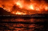 &Sigma;&tau;&omicron;&chi;&epsilon;&upsilon;&mu;έ&nu;&epsilon;&sigmaf; &epsilon;&nu;έ&rho;&gamma;&epsilon;&iota;&epsilon;&sigmaf; &tau;&eta;&sigmaf; &Pi;&epsilon;&rho;&iota;&phi;έ&rho;&epsilon;&iota;&alpha;&sigmaf; &Alpha;&tau;&tau;&iota;&kappa;ή&sigmaf; &gamma;&iota;&alpha; &tau;&eta; &sigma;&tau;ή&rho;&iota;&xi;&eta; &tau;&omega;&nu; &Delta;ή&mu;&omega;&nu; &pi;&omicron;&upsilon; &epsilon;&pi;&lambda;ή&gamma;&eta;&sigma;&alpha;&nu; &alpha;&pi;ό &tau;&iota;&sigmaf; &kappa;&alpha;&tau;&alpha;&sigma;&tau;&rho;&omicron;&phi;&iota;&kappa;έ&sigmaf; &pi;&upsilon;&rho;&kappa;&alpha;&gamma;&iota;έ&sigmaf;