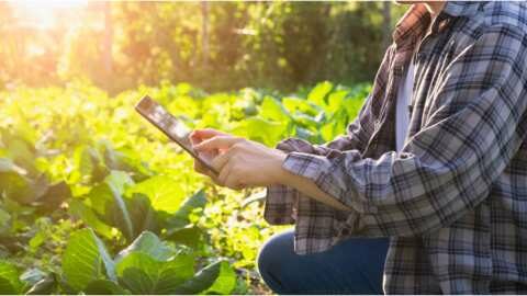 &Alpha;&nu;&alpha;&kappa;&omicron;ί&nu;&omega;&sigma;&eta; &Pi;&alpha;&nu;&epsilon;&lambda;&lambda;ή&nu;&iota;&alpha;&sigmaf; Έ&nu;&omega;&sigma;&eta;&sigmaf; &Gamma;&epsilon;&omega;&pi;ό&nu;&omega;&nu; &Delta;&eta;&mu;&omicron;&sigma;ί&omega;&nu; &Upsilon;&pi;&alpha;&lambda;&lambda;ή&lambda;&omega;&nu; &gamma;&iota;&alpha; &tau;&eta;&nu; έ&nu;&alpha;&rho;&xi;&eta; &lambda;&epsilon;&iota;&tau;&omicron;&upsilon;&rho;&gamma;ί&alpha;&sigmaf; &iota;&sigma;&tau;&omicron;&sigma;&epsilon;&lambda;ί&delta;&alpha;&sigmaf;
