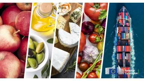 &Pi;&tau;ώ&sigma;&eta; &tau;&omega;&nu; &epsilon;&xi;&alpha;&gamma;&omega;&gamma;ώ&nu; &gamma;&epsilon;&omega;&rho;&gamma;&iota;&kappa;ώ&nu; &pi;&rho;&omicron;ϊό&nu;&tau;&omega;&nu; &sigma;&tau;&eta;&nu; &Epsilon;&Epsilon; &tau;&omicron;&nu; &Nu;&omicron;έ&mu;&beta;&rho;&iota;&omicron;