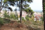 &Epsilon;&tau;ή&sigma;&iota;&omicron;&sigmaf; &kappa;&alpha;&theta;&alpha;&rho;&iota;&sigma;&mu;ό&sigmaf; &kappa;&alpha;&iota; &kappa;&alpha;&lambda;&lambda;&iota;έ&rho;&gamma;&epsilon;&iota;&alpha; &delta;&eta;&mu;&omicron;&tau;&iota;&kappa;ώ&nu; &alpha;&lambda;&sigma;ώ&nu; &gamma;&iota;&alpha; &pi;&upsilon;&rho;&omicron;&pi;&rho;&omicron;&sigma;&tau;&alpha;&sigma;ί&alpha;