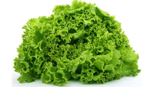 &Tau;&alpha; &omicron;&phi;έ&lambda;&eta; &pi;&omicron;&upsilon; έ&chi;&epsilon;&iota; &tau;&omicron; &alpha;&gamma;&rho;&iota;&omicron;&mu;ά&rho;&omicron;&upsilon;&lambda;&omicron; &gamma;&iota;&alpha; &tau;&eta;&nu; &upsilon;&gamma;&epsilon;ί&alpha; &mu;&alpha;&sigmaf;