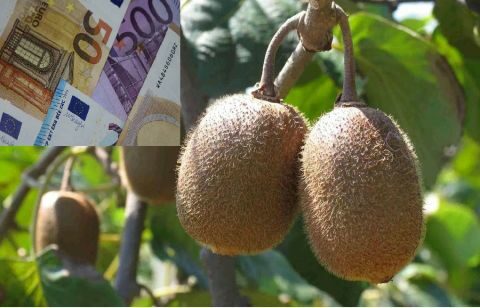 &Alpha;&kappa;&tau;&iota;&nu;ί&delta;&iota;&omicron;: &Mu;&epsilon;ί&omega;&sigma;&eta; &kappa;&alpha;&tau;ά 30% &tau;&omicron;&upsilon; ό&gamma;&kappa;&omicron;&upsilon; &pi;&alpha;&rho;&alpha;&gamma;&omega;&gamma;ή&sigmaf; &sigma;&tau;&eta;&nu; &Iota;&tau;&alpha;&lambda;ί&alpha; - &Alpha;&iota;&sigma;&iota;&omicron;&delta;&omicron;&xi;ί&alpha; &gamma;&iota;&alpha; &kappa;&alpha;&lambda;ύ&tau;&epsilon;&rho;&epsilon;&sigmaf; &tau;&iota;&mu;έ&sigmaf; &pi;ώ&lambda;&eta;&sigma;&eta;&sigmaf;