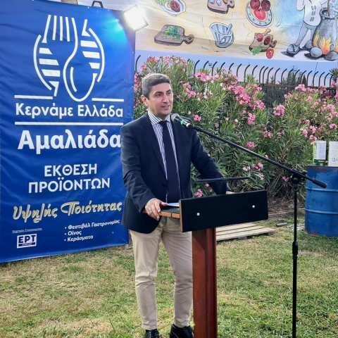 &Omicron;&mu;&iota;&lambda;ί&alpha; &tau;&omicron;&upsilon; &Upsilon;&pi;&Alpha;&Alpha;&Tau; &sigma;&tau;&alpha; &Epsilon;&gamma;&kappa;&alpha;ί&nu;&iota;&alpha; &tau;&omicron;&upsilon; 6&omicron;&upsilon; &Phi;&epsilon;&sigma;&tau;&iota;&beta;ά&lambda; &laquo;&Kappa;&epsilon;&rho;&nu;ά&mu;&epsilon; &Epsilon;&lambda;&lambda;ά&delta;&alpha;&raquo; &kappa;&alpha;&iota; &tau;&eta;&sigmaf; Έ&kappa;&theta;&epsilon;&sigma;&eta;&sigmaf; EuroAgro Expo 2024 &sigma;&tau;&eta;&nu; &Alpha;&mu;&alpha;&lambda;&iota;ά&delta;&alpha;