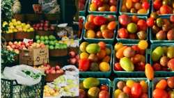 B&rho;&alpha;&beta;&epsilon;ί&alpha; &beta;&iota;&omicron;&lambda;&omicron;&gamma;&iota;&kappa;ή&sigmaf; &pi;&alpha;&rho;&alpha;&gamma;&omega;&gamma;ή&sigmaf; &tau;&eta;&sigmaf; &Epsilon;&Epsilon; 2025: &Tau;&eta;&nu; &Eta;&mu;έ&rho;&alpha; &Beta;&iota;&omicron;&lambda;&omicron;&gamma;&iota;&kappa;ή&sigmaf; &Pi;&alpha;&rho;&alpha;&gamma;&omega;&gamma;ή&sigmaf; &eta; &tau;&epsilon;&lambda;&epsilon;&tau;ή &alpha;&pi;&omicron;&nu;&omicron;&mu;ή&sigmaf;