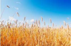 &Pi;&alpha;&gamma;&kappa;ό&sigma;&mu;&iota;&alpha; &epsilon;&pi;&iota;&sigma;&iota;&tau;&iota;&sigma;&tau;&iota;&kappa;ή &kappa;&rho;ί&sigma;&eta;: &Mu;&pi;&omicron;&rho;&epsilon;ί &eta; &sigma;&upsilon;&mu;&phi;&omega;&nu;ί&alpha; &gamma;&iota;&alpha; &tau;&alpha; &sigma;&iota;&tau;&eta;&rho;ά &tau;&eta;&sigmaf; &Omicron;&upsilon;&kappa;&rho;&alpha;&nu;ί&alpha;&sigmaf; &nu;&alpha; &omicron;&delta;&eta;&gamma;ή&sigma;&epsilon;&iota; &sigma;&epsilon; &alpha;&pi;&omicron;&kappa;&lambda;&iota;&mu;ά&kappa;&omega;&sigma;&eta;