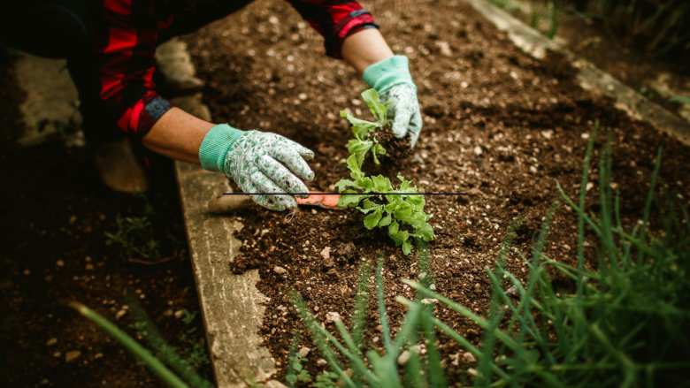 &Tau;&rho;ό&pi;&omicron;&iota; &gamma;&iota;&alpha; &nu;&alpha; έ&chi;&epsilon;&tau;&epsilon; &upsilon;&psi;&eta;&lambda;έ&sigmaf; &alpha;&pi;&omicron;&delta;ό&sigma;&epsilon;&iota;&sigmaf; &sigma;&tau;&omicron; &lambda;&alpha;&chi;&alpha;&nu;ό&kappa;&eta;&pi;&omicron; &sigma;&alpha;&sigmaf; | &Alpha;&gamma;&rho;&omicron;&tau;&iota;&kappa;ά &nu;έ&alpha; IMATHIOTIKIGI.GR