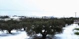 &Zeta;&eta;&mu;&iota;έ&sigmaf; &sigma;&epsilon; &kappa;&alpha;&lambda;&lambda;&iota;έ&rho;&gamma;&epsilon;&iota;&epsilon;&sigmaf; &kappa;&alpha;&iota; &mu;&epsilon;ί&omega;&sigma;&eta; &tau;&eta;&sigmaf; &gamma;&alpha;&lambda;&alpha;&kappa;&tau;&omicron;&pi;&alpha;&rho;&alpha;&gamma;&omega;&gamma;ή&sigmaf; &alpha;&pi;ό &tau;&omicron; &chi;&iota;&omicron;&nu;&iota;ά &sigma;&tau;&eta;&nu; &Kappa;&rho;ή&tau;&eta;