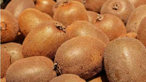 &Tau;&omicron; &epsilon;&lambda;&lambda;&eta;&nu;&iota;&kappa;ό &alpha;&kappa;&tau;&iota;&nu;ί&delta;&iota;&omicron; &epsilon;&nu;&iota;&sigma;&chi;ύ&epsilon;&iota; &tau;&eta; &theta;έ&sigma;&eta; &tau;&omicron;&upsilon; &sigma;&tau;&iota;&sigmaf; &pi;&alpha;&gamma;&kappa;ό&sigma;&mu;&iota;&epsilon;&sigmaf; &alpha;&gamma;&omicron;&rho;έ&sigmaf;