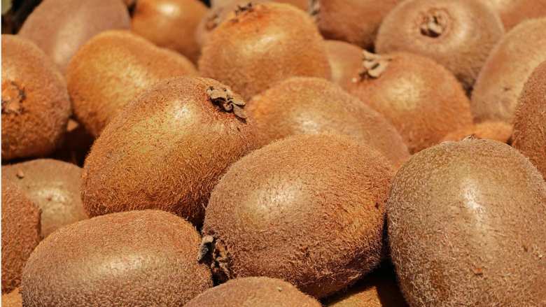 &Tau;&omicron; &epsilon;&lambda;&lambda;&eta;&nu;&iota;&kappa;ό &alpha;&kappa;&tau;&iota;&nu;ί&delta;&iota;&omicron; &epsilon;&nu;&iota;&sigma;&chi;ύ&epsilon;&iota; &tau;&eta; &theta;έ&sigma;&eta; &tau;&omicron;&upsilon; &sigma;&tau;&iota;&sigmaf; &pi;&alpha;&gamma;&kappa;ό&sigma;&mu;&iota;&epsilon;&sigmaf; &alpha;&gamma;&omicron;&rho;έ&sigmaf;