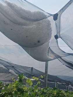 &Xi;ά&nu;&theta;&eta;:&Sigma;&phi;&omicron;&delta;&rho;ή X&alpha;&lambda;&alpha;&zeta;ό&pi;&tau;&omega;&sigma;&eta;  - &Mu;&epsilon;&gamma;ά&lambda;&epsilon;&sigmaf; K&alpha;&tau;&alpha;&sigma;&tau;&rho;&omicron;&phi;έ&sigmaf;