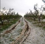 &Omicron;&lambda;&omicron;&kappa;&lambda;&eta;&rho;&omega;&tau;&iota;&kappa;ή &kappa;&alpha;&tau;&alpha;&sigma;&tau;&rho;&omicron;&phi;ή &sigma;&epsilon; &kappa;&alpha;&lambda;&lambda;&iota;έ&rho;&gamma;&epsilon;&iota;&epsilon;&sigmaf; &pi;&omicron;&lambda;&lambda;ώ&nu; &pi;&epsilon;&rho;&iota;&omicron;&chi;ώ&nu; &tau;&eta;&sigmaf; &chi;ώ&rho;&alpha;&sigmaf; &alpha;&pi;ό &tau;&omicron; &chi;&alpha;&lambda;ά&zeta;&iota; (&Phi;&omega;&tau;&omicron;&gamma;&rho;&alpha;&phi;&iota;&kappa;ό &upsilon;&lambda;&iota;&kappa;ό)