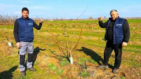 &Delta;&epsilon;&sigmaf; &tau;&eta; &theta;&epsilon;&alpha;&mu;&alpha;&tau;&iota;&kappa;ή &alpha;&nu;ά&pi;&tau;&upsilon;&xi;&eta; &nu;&epsilon;&alpha;&rho;ώ&nu; &delta;έ&nu;&tau;&rho;&omega;&nu; &sigma;&epsilon; &mu;ό&lambda;&iota;&sigmaf; 1 &Chi;&rho;ό&nu;&omicron;!