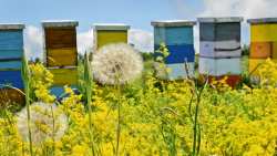 &Upsilon;&pi;&omicron;&beta;&omicron;&lambda;ή &delta;&eta;&lambda;ώ&sigma;&epsilon;&omega;&nu; &kappa;&alpha;&tau;&epsilon;&chi;ό&mu;&epsilon;&nu;&omega;&nu; &kappa;&upsilon;&psi;&epsilon;&lambda;ώ&nu; &gamma;&iota;&alpha; ό&lambda;&omicron;&upsilon;&sigmaf; &tau;&omicron;&upsilon;&sigmaf; &epsilon;&nu;&epsilon;&rho;&gamma;&omicron;ύ&sigmaf; &mu;&epsilon;&lambda;&iota;&sigma;&sigma;&omicron;&kappa;ό&mu;&omicron;&upsilon;&sigmaf; - &Pi;&omicron;&iota;&alpha; &eta; &kappa;&alpha;&tau;&alpha;&lambda;&eta;&kappa;&tau;&iota;&kappa;ή &eta;&mu;&epsilon;&rho;&omicron;&mu;&eta;&nu;ί&alpha;