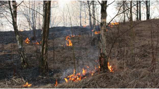 &Upsilon;&pi;&omicron;&upsilon;&rho;&gamma;&iota;&kappa;ή &alpha;&pi;ό&phi;&alpha;&sigma;&eta; &rho;ύ&theta;&mu;&iota;&sigma;&eta;&sigmaf; &kappa;&alpha;&iota; &alpha;&nu;&alpha;&sigma;&tau;&omicron;&lambda;ή&sigmaf; &pi;&lambda;&eta;&rho;&omega;&mu;ή&sigmaf; &alpha;&sigma;&phi;&alpha;&lambda;&iota;&sigma;&tau;&iota;&kappa;ώ&nu; &epsilon;&iota;&sigma;&phi;&omicron;&rho;ώ&nu; &gamma;&iota;&alpha; &pi;&lambda;&eta;&gamma;έ&nu;&tau;&epsilon;&sigmaf; &alpha;&pi;ό &tau;&iota;&sigmaf; &pi;&upsilon;&rho;&kappa;&alpha;&gamma;&iota;έ&sigmaf;