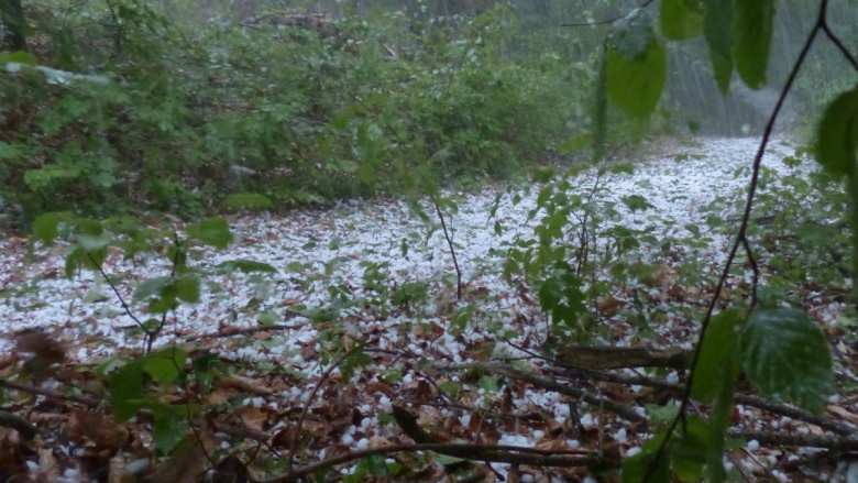 &Alpha;&rho;&kappa;&alpha;&delta;ί&alpha;: &Chi;&alpha;&lambda;ά&zeta;&iota; έ&pi;&lambda;&eta;&xi;&epsilon; &kappa;&alpha;&lambda;&lambda;&iota;έ&rho;&gamma;&epsilon;&iota;&epsilon;&sigmaf; &sigma;&epsilon; &chi;&omega;&rho;&iota;ά &tau;&eta;&sigmaf; &Tau;&epsilon;&gamma;έ&alpha;&sigmaf;