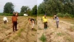 &Mu;&epsilon; &epsilon;&pi;&iota;&tau;&upsilon;&chi;ί&alpha; &sigma;&tau;έ&phi;&theta;&eta;&kappa;&epsilon; &eta; &mu;&epsilon;&tau;ά&kappa;&lambda;&eta;&sigma;&eta; &tau;&omega;&nu; &pi;&rho;ώ&tau;&omega;&nu; &epsilon;&rho;&gamma;&alpha;&tau;ώ&nu; &gamma;&eta;&sigmaf; &alpha;&pi;ό &tau;&eta;&nu; &Tau;&alpha;ϊ&lambda;ά&nu;&delta;&eta;